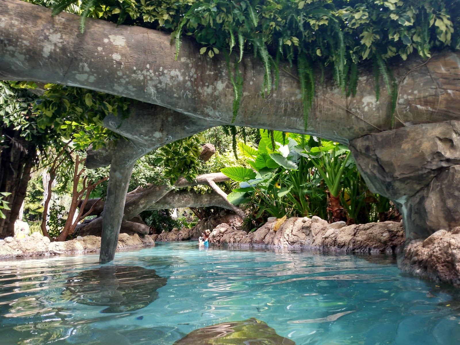 Orlando, SUA: 20 de locuri de vizitat + sfaturi pentru parcuri în 2026 11 Discovery Cove în Orlando