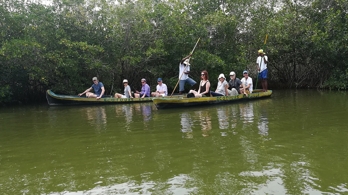 Cartagena, Colombia: 22 Things to See and Do in 2026 20 Mangroves by the La Boquilla fishing village