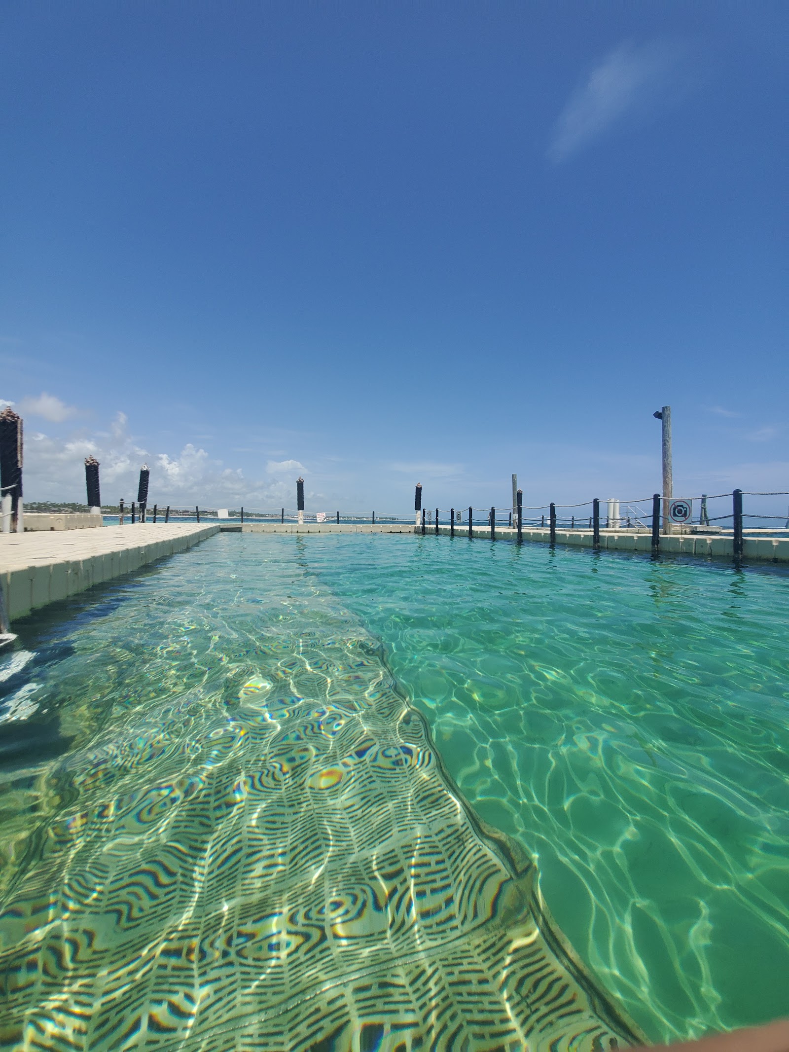 Punta Cana, Dominikai Köztársaság: 20 tipp, mit láss és csinálj 2026-ban 12 Seaquarium Punta Canában