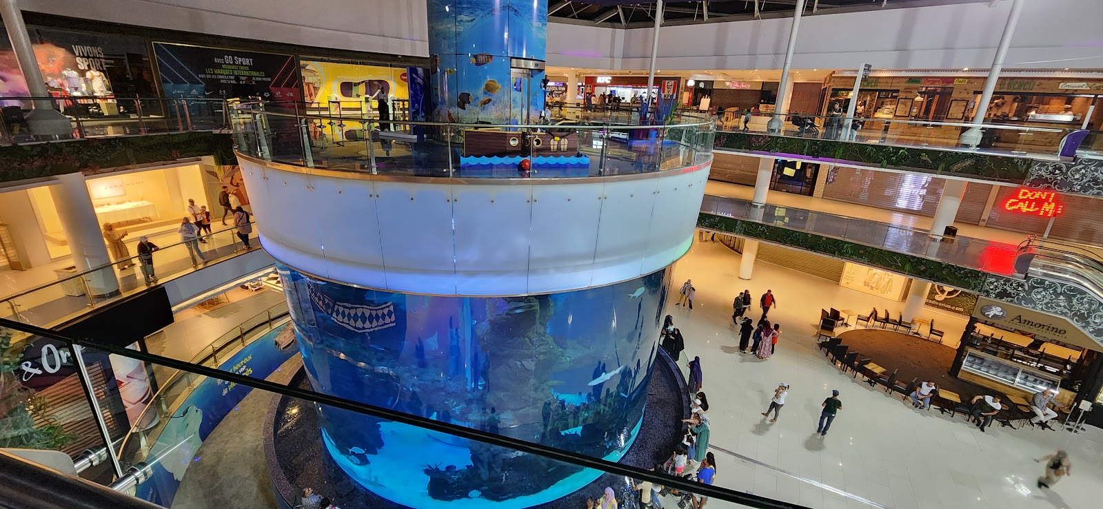 Casablanca, Marokko: 22 Tipps, was du 2026 sehen und unternehmen kannst 18 Zylindrisches Aquarium Aquadream im Morocco Mall