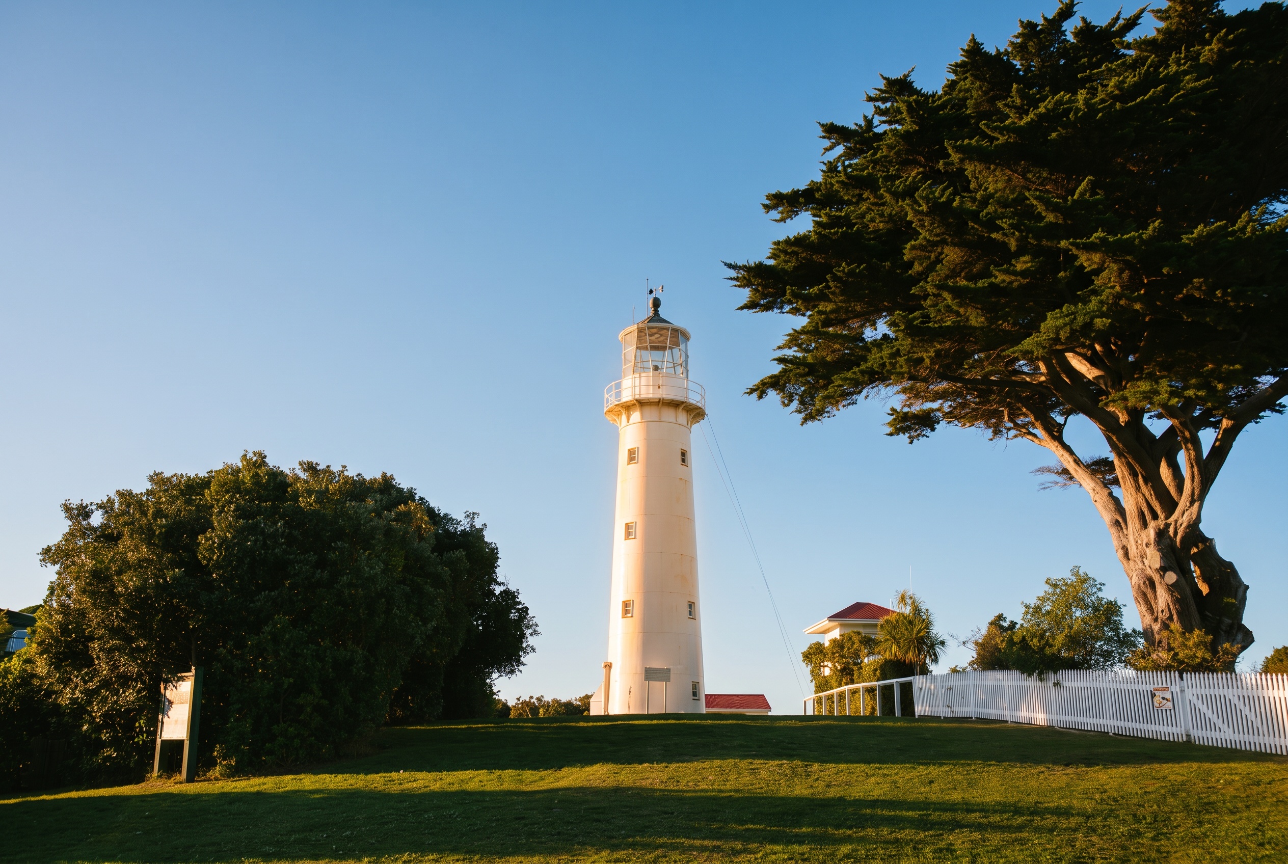 Auckland, Neuseeland: 22 Tipps, was du 2026 sehen und erleben kannst 15 Tiritiri Matangi