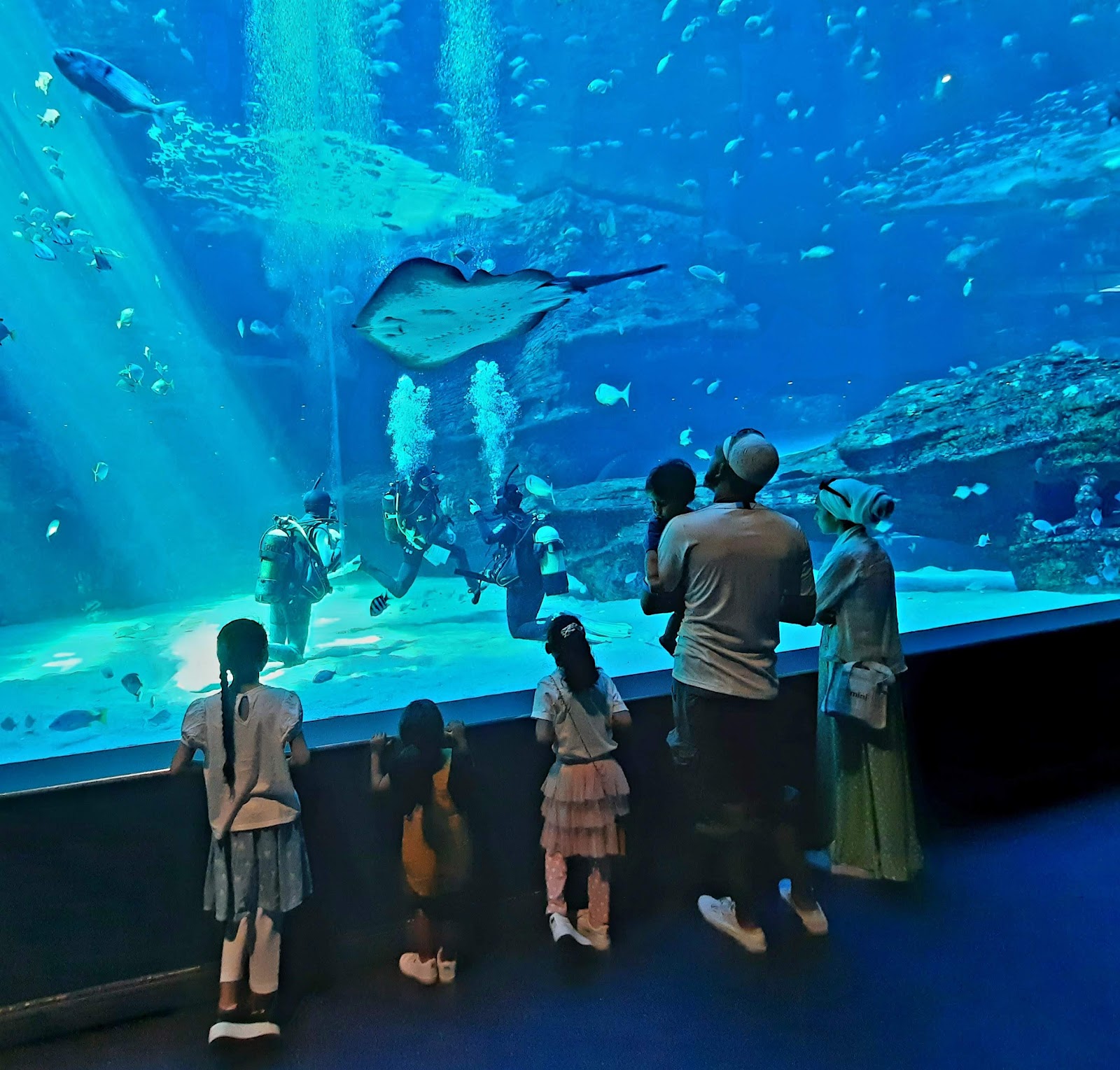 Kapstadt, Südafrika: 22 Tipps, was du 2026 sehen und erleben solltest 12 Two Oceans Aquarium