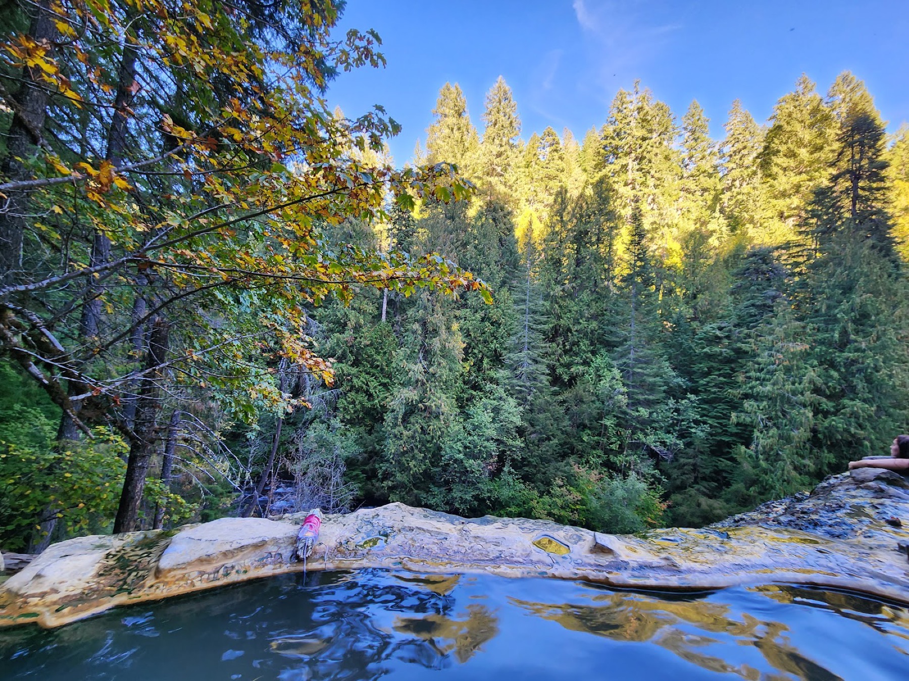 Heiße Quellen USA: 37 Tipps nach Bundesstaat in 2026 44 Umpqua Hot Springs (Idleyld Park, Oregon)