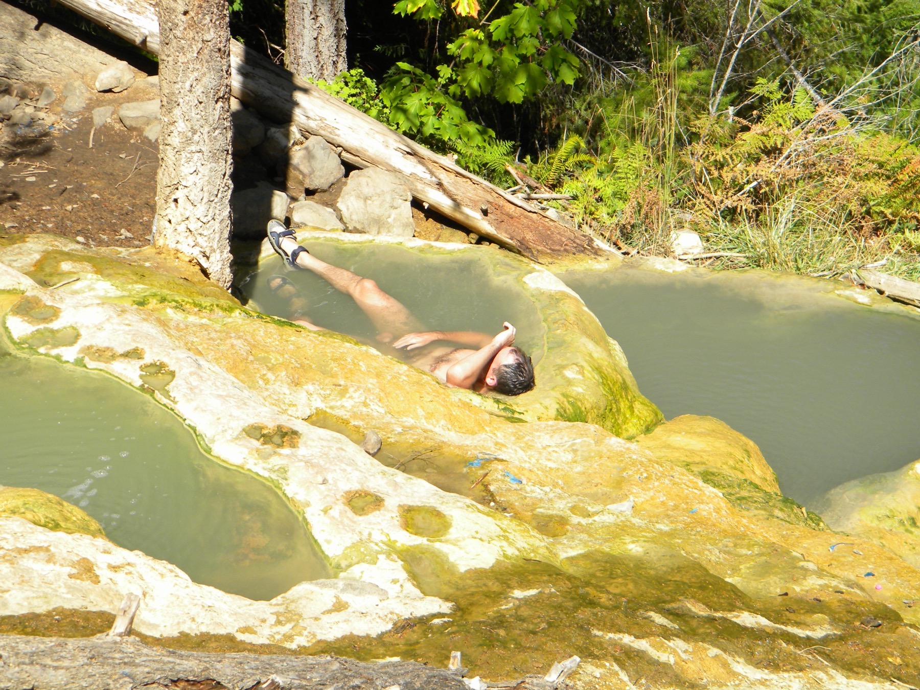 Heiße Quellen USA: 37 Tipps nach Bundesstaat in 2026 52 Wilde Quelle Umpqua Hot Springs über dem North Umpqua River in Oregon