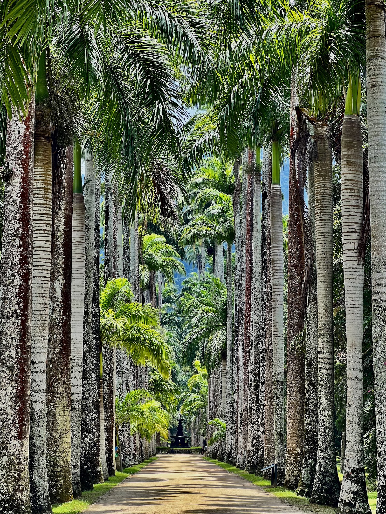 Rio de Janeiro, Brazília: 22 tipp, mit érdemes látni és csinálni 2026-ban 16 A Parque Lage kertjei és villája