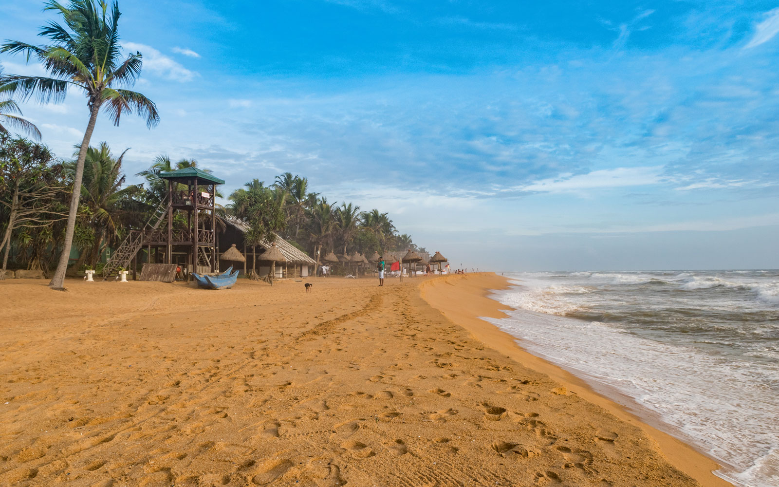 Colombo, Sri Lanka: 22 tips voor wat te zien en doen in 2026 21 Strand Mount Lavinia met palmbomen