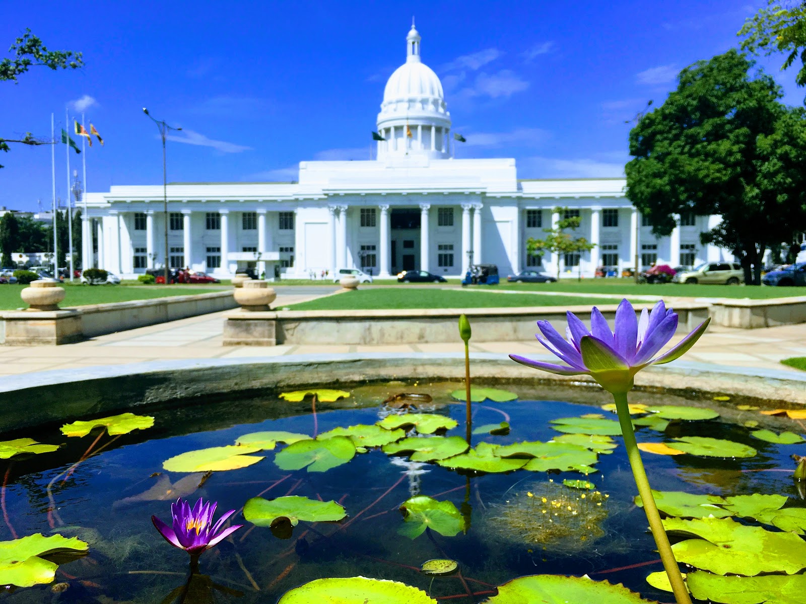 Colombo, Sri Lanka: 22 tips voor wat te zien en doen in 2026 12 Wit gemeentehuis bij het Viharamahadevi park