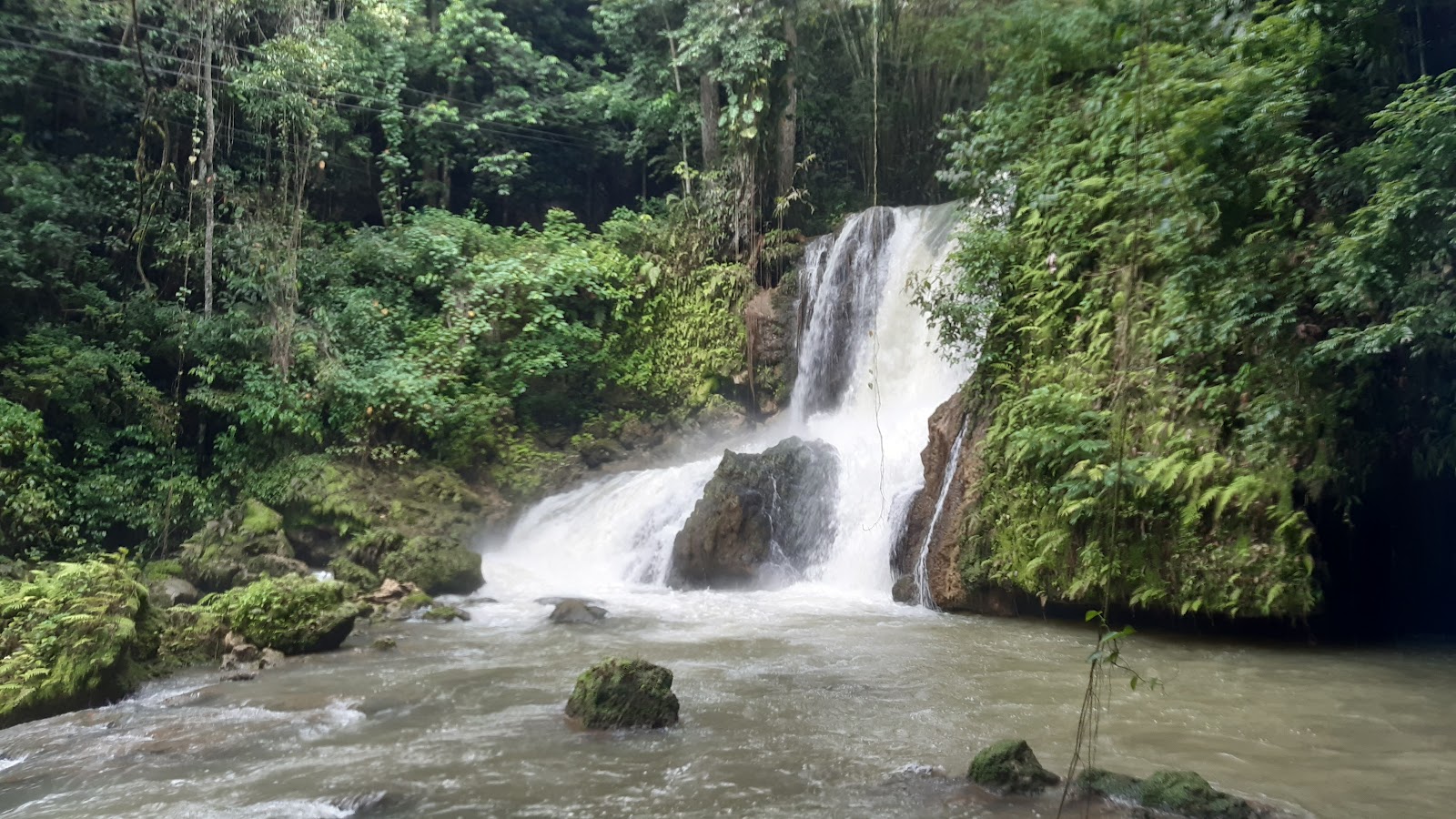 Montego Bay, Jamaika: 22 Tipps für 2026 – was du sehen und unternehmen kannst 18 Wasserfall YS Falls im Grünen