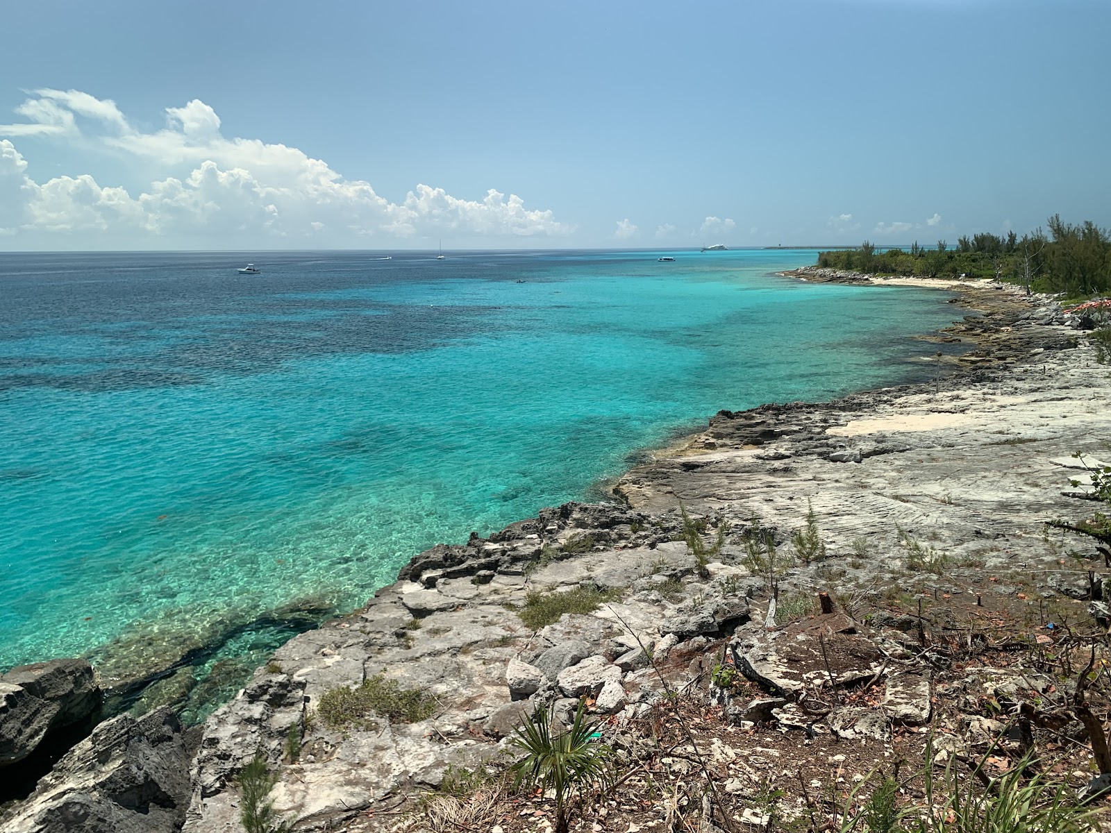 Nassau Bahamy: 22 atrakcje i praktyczne wskazówki na 2026 15 Skaliste wybrzeże w parku Clifton Heritage