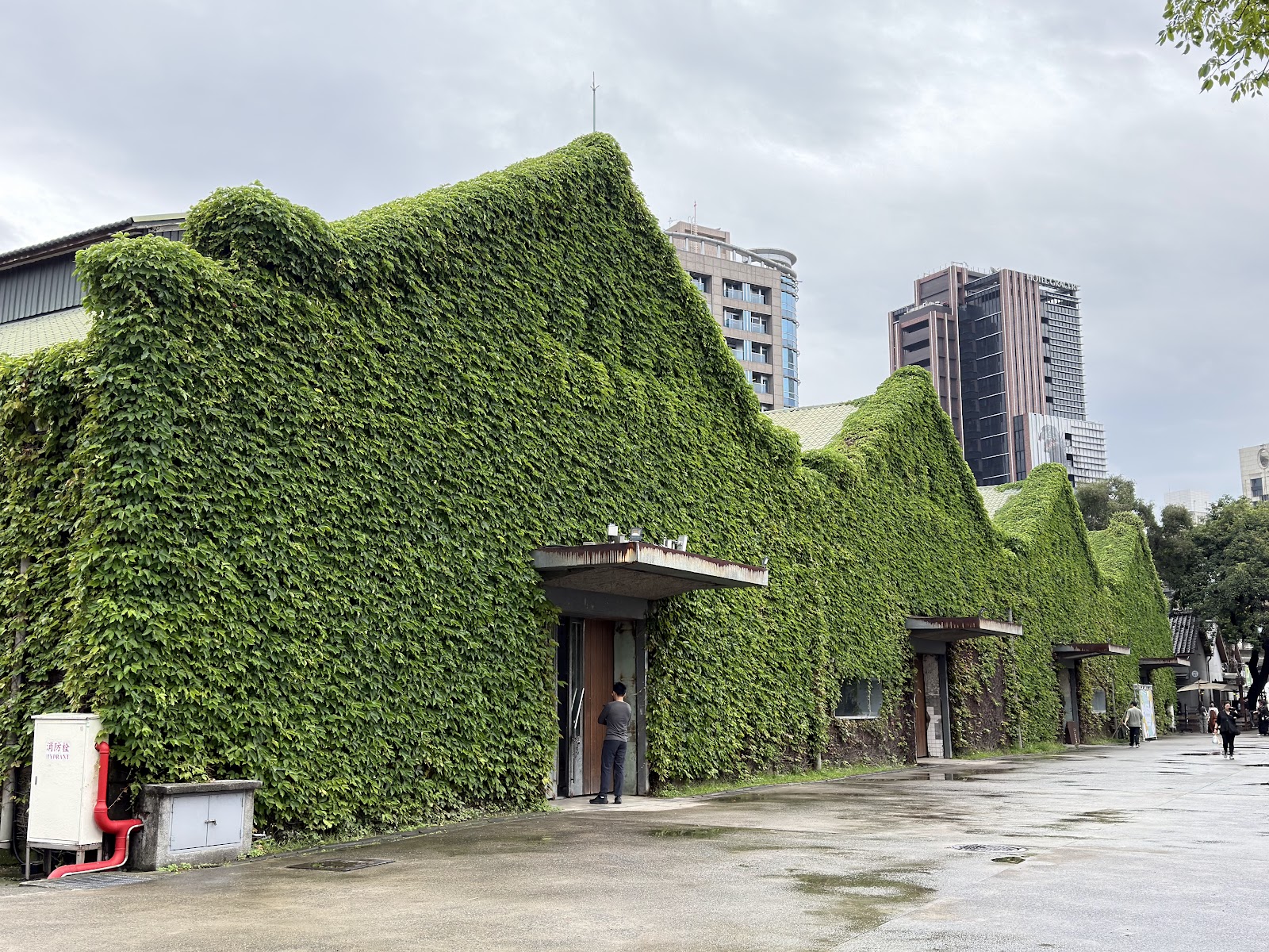 Taipeh Taiwan: 22 Tipps für deine Reise 2026 15 Efeubewachsene Gebäude im Huashan 1914 Creative Park