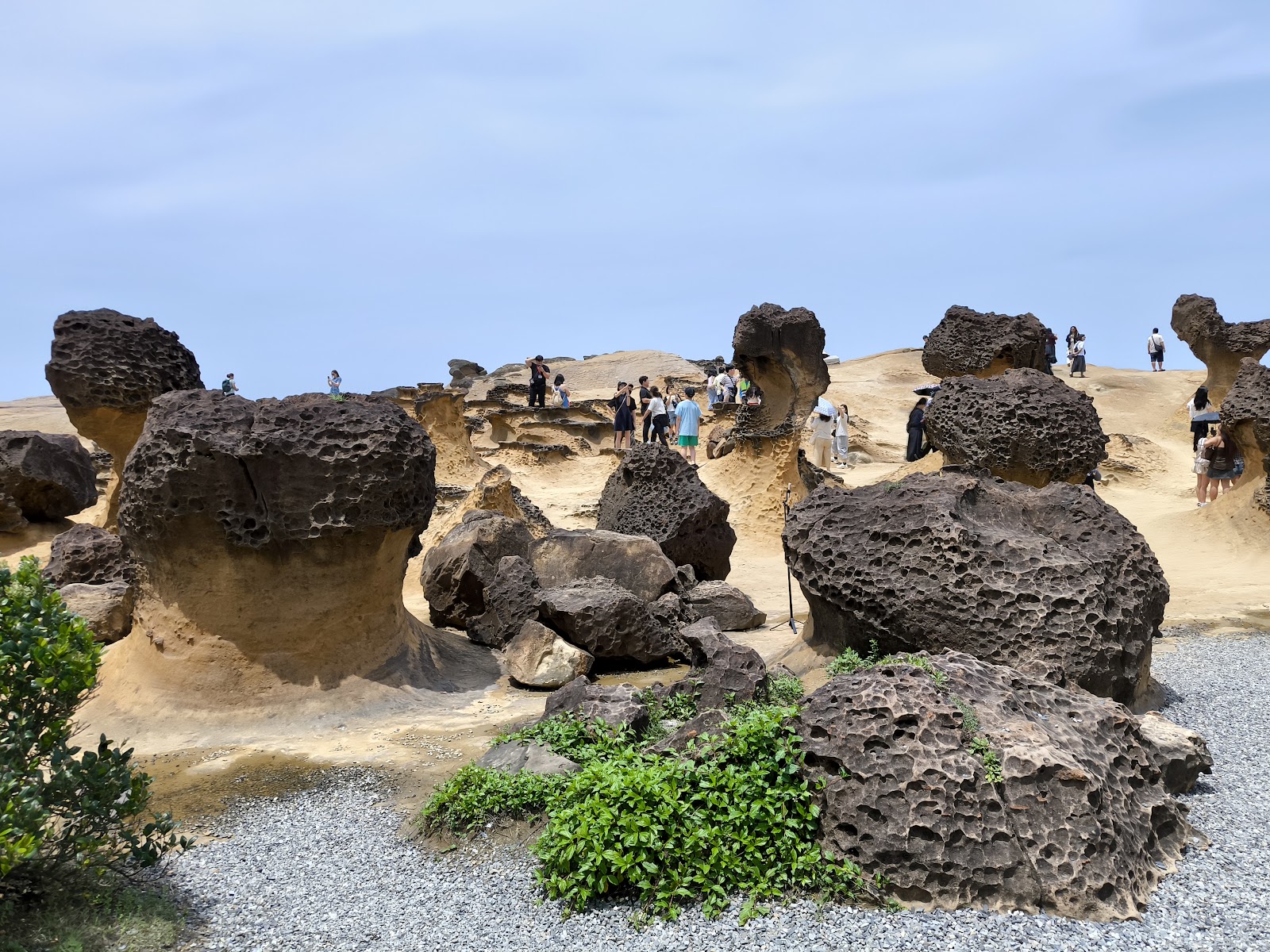 Taipeh Taiwan: 22 Tipps für deine Reise 2026 24 Felsformationen im Yehliu Geopark