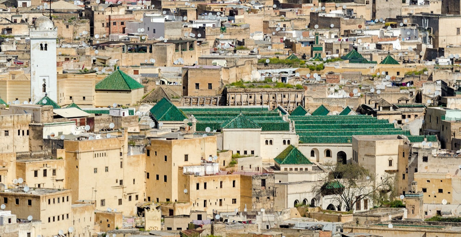 Fès, Marokko: 22 Tipps, was du 2026 sehen und erleben solltest 1 Panorama der Medina Fès el-Bali mit grünen Dächern