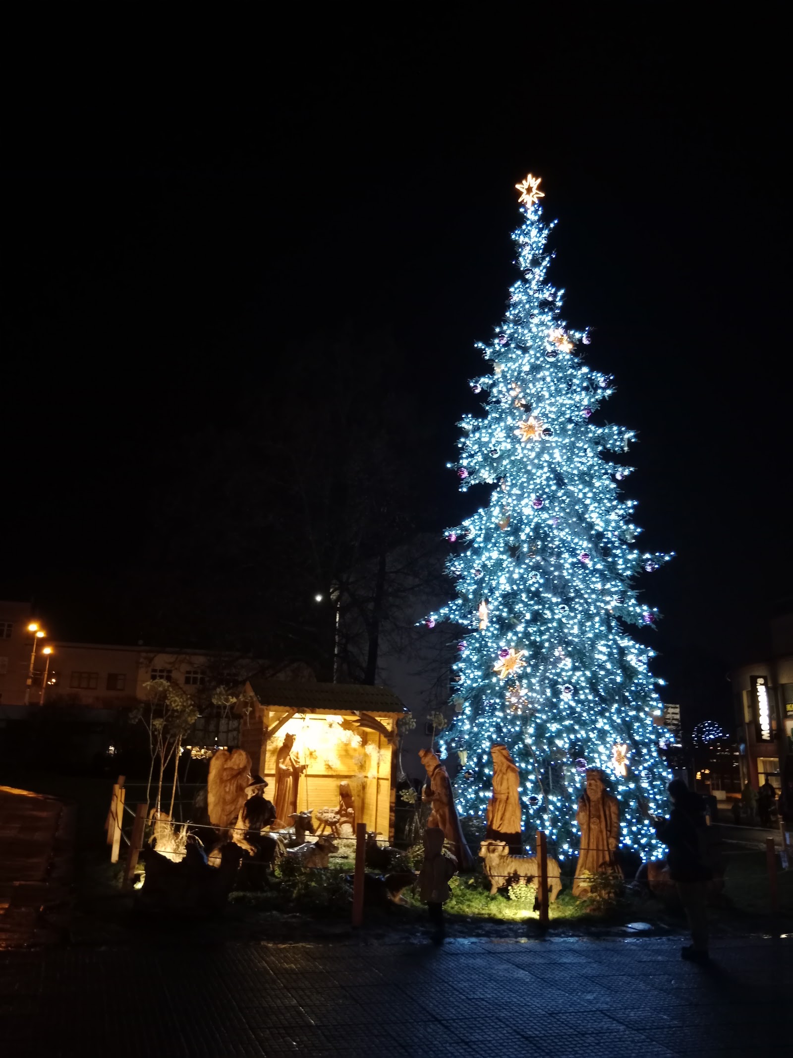 Weihnachtsmärkte in Mähren 2026: 13 schönste Orte 13 Weihnachtsbaum auf dem Friedensplatz in Zlín