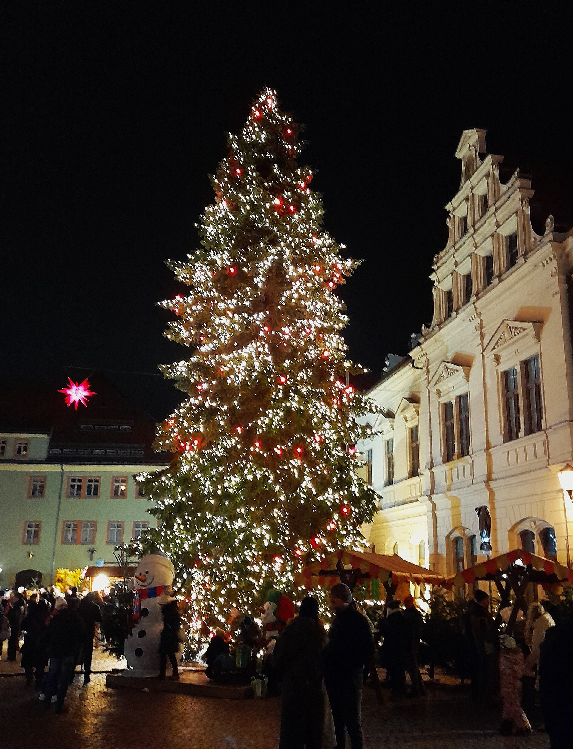 Weihnachtsmärkte in Deutschland an der Grenze 2026: von Pirna bis Passau 3 Weihnachtsbaum und Bürgerhäuser in Pirna